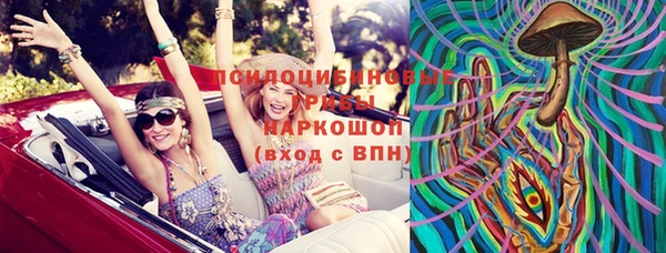 прущие крисы Арсеньев