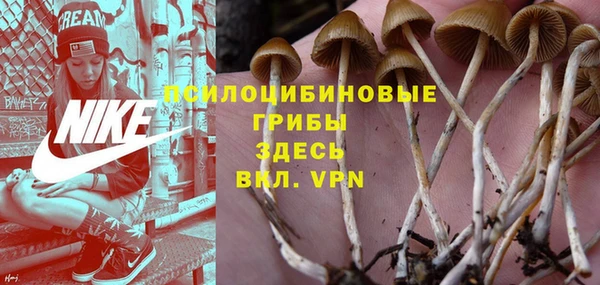 прущие крисы Арсеньев